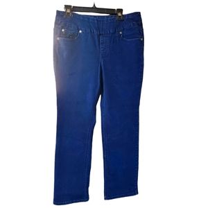 Northern Reflections Dark Denim Embroidered Jeans